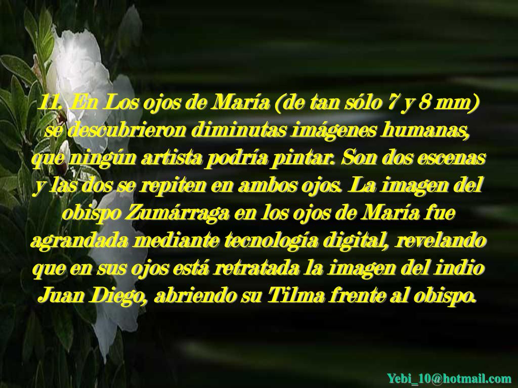 11. En Los ojos de María (de tan sólo 7 y 8 mm) se descubrieron diminutas imágenes humanas, que ningún artista podría pintar. Son dos escenas y las dos se repiten en ambos ojos. La imagen del obispo Zumárraga en los ojos de María fue agrandada mediante tecnología digital, revelando que en sus ojos está retratada la imagen del indio Juan Diego, abriendo su Tilma frente al obispo.