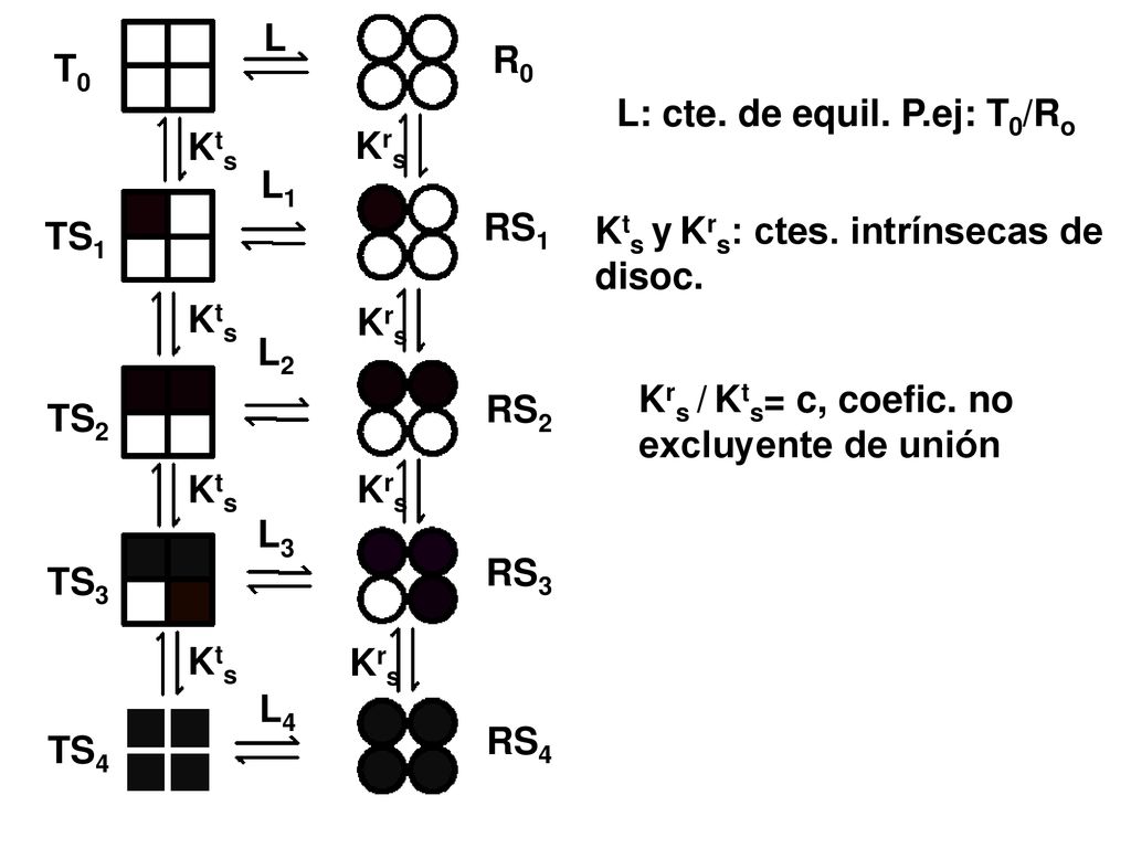 L R0. T0. L: cte. de equil. P.ej: T0/Ro. Kts. Krs. L1. RS1. TS1. Kts y Krs: ctes. intrínsecas de disoc.
