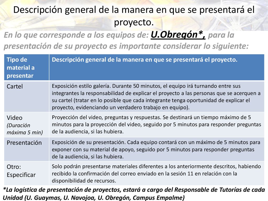 Descripción general de la manera en que se presentará el proyecto.
