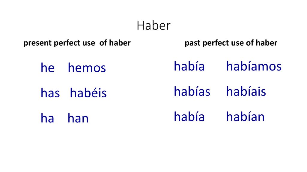 Haber había habíamos he hemos habías habíais has habéis había habían