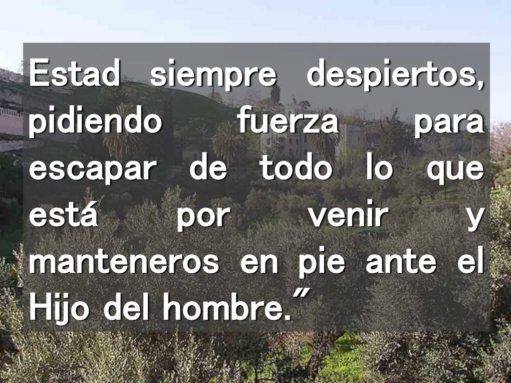 Estad siempre despiertos, pidiendo fuerza para escapar de todo lo que está por venir y manteneros en pie ante el Hijo del hombre.