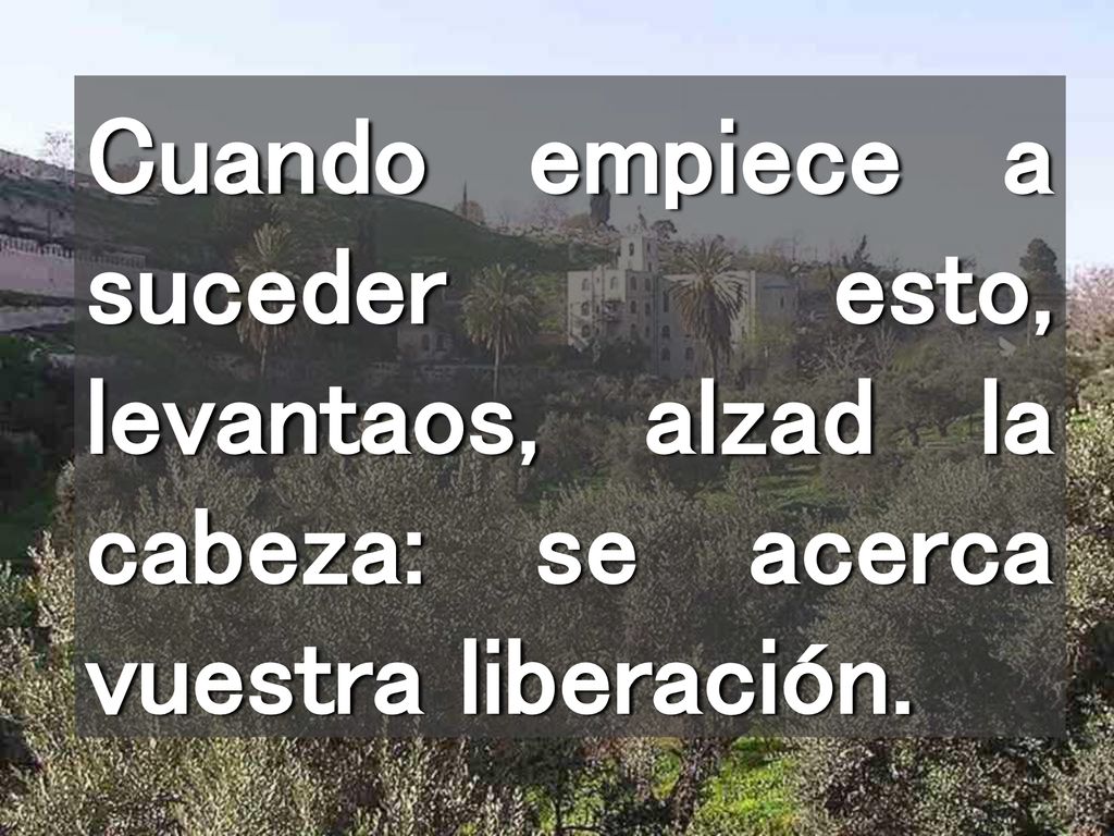 Cuando empiece a suceder esto, levantaos, alzad la cabeza: se acerca vuestra liberación.