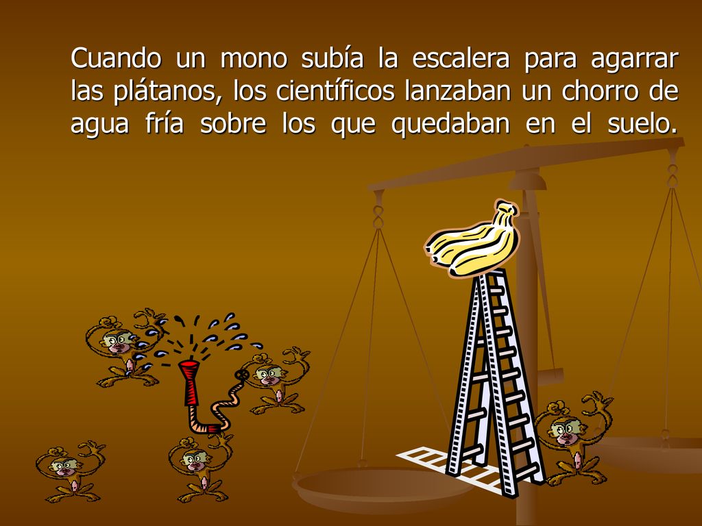 Cuando un mono subía la escalera para agarrar las plátanos, los científicos lanzaban un chorro de agua fría sobre los que quedaban en el suelo.