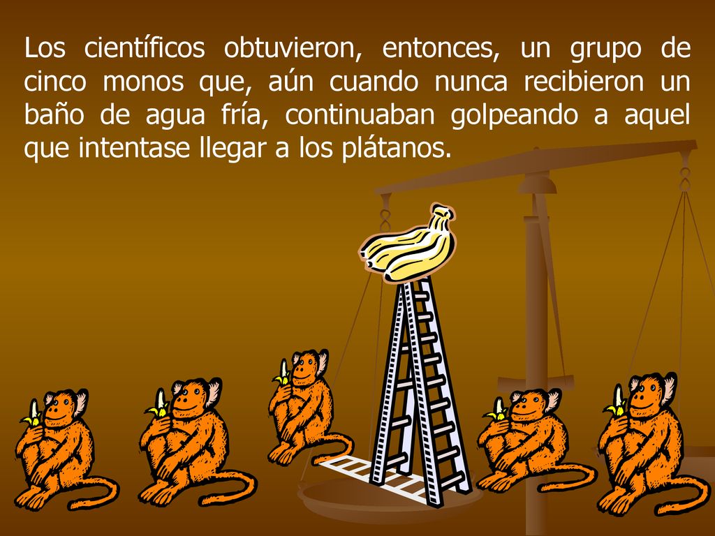 Los científicos obtuvieron, entonces, un grupo de cinco monos que, aún cuando nunca recibieron un baño de agua fría, continuaban golpeando a aquel que intentase llegar a los plátanos.