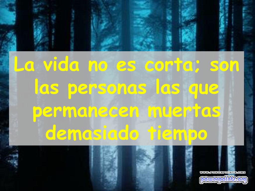 La vida no es corta; son las personas las que permanecen muertas demasiado tiempo