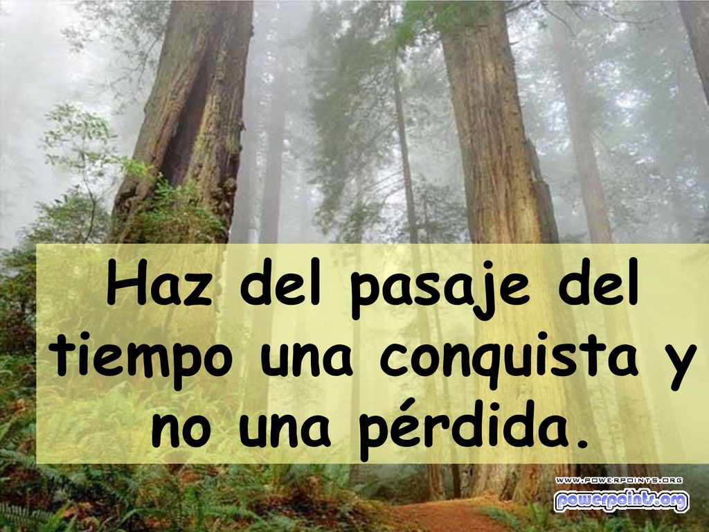 Haz del pasaje del tiempo una conquista y no una pérdida.