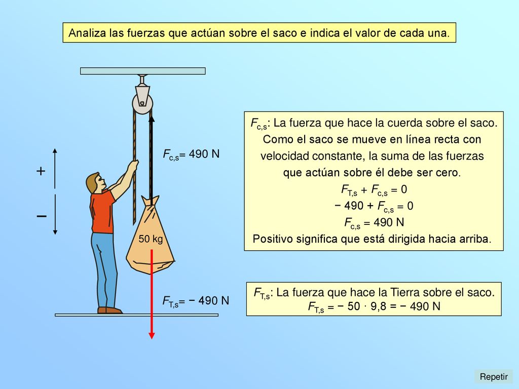 Analiza las fuerzas que actúan sobre el saco e indica el valor de cada una.