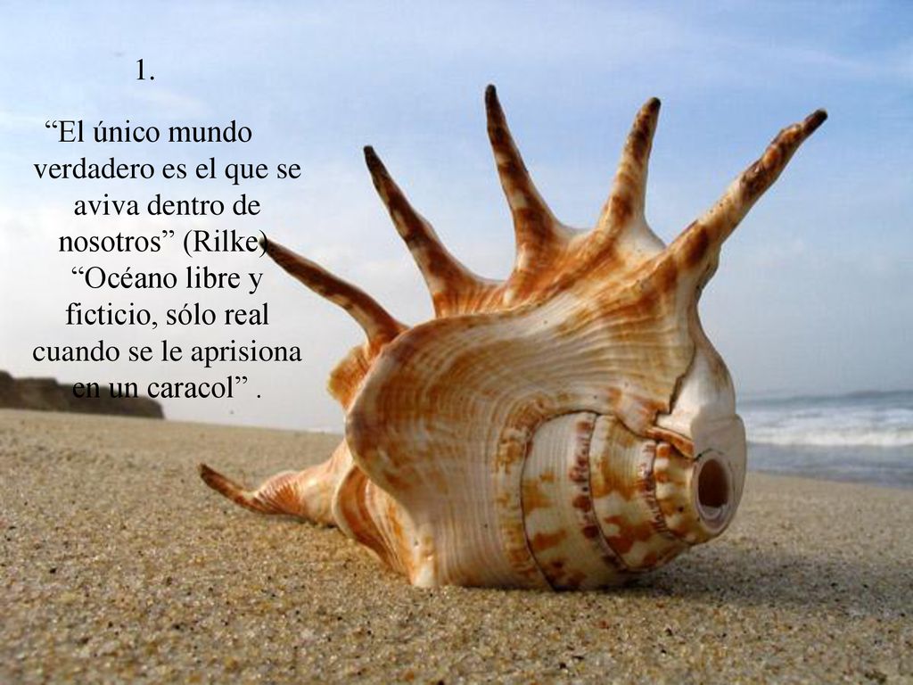 1. El único mundo verdadero es el que se aviva dentro de nosotros (Rilke).