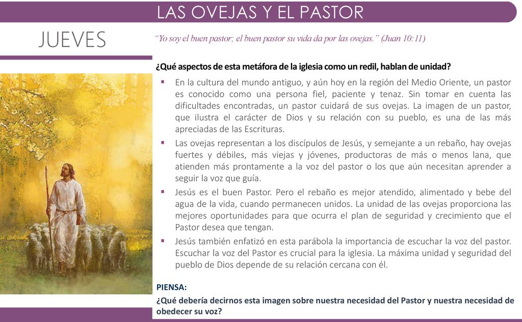 LAS OVEJAS Y EL PASTOR Yo soy el buen pastor; el buen pastor su vida da por las ovejas. (Juan 10:11)
