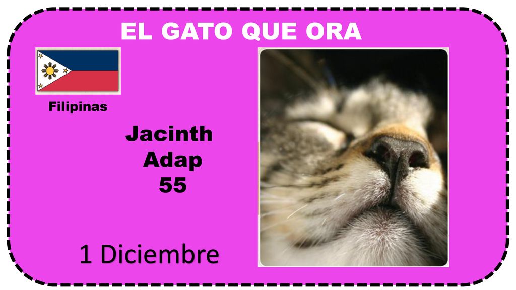 EL GATO QUE ORA Filipinas Jacinth Adap 55 1 Diciembre