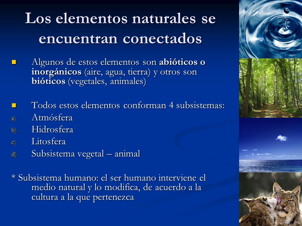 Los elementos naturales se encuentran conectados
