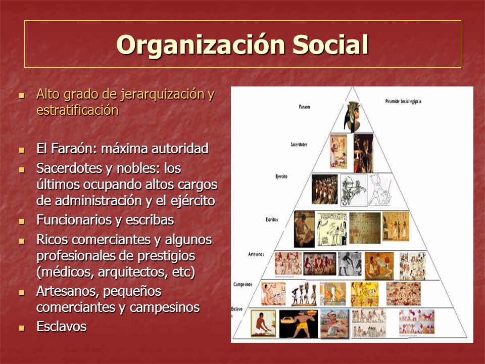 Organización Social Alto grado de jerarquización y estratificación