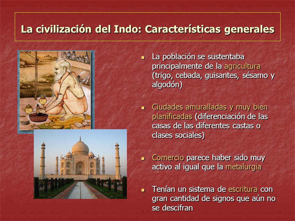 La civilización del Indo: Características generales