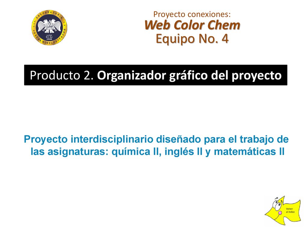 Web Color Chem Equipo No. 4