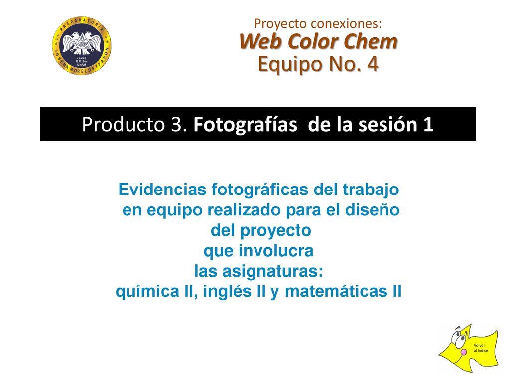 Web Color Chem Equipo No. 4 Producto 3. Fotografías de la sesión 1