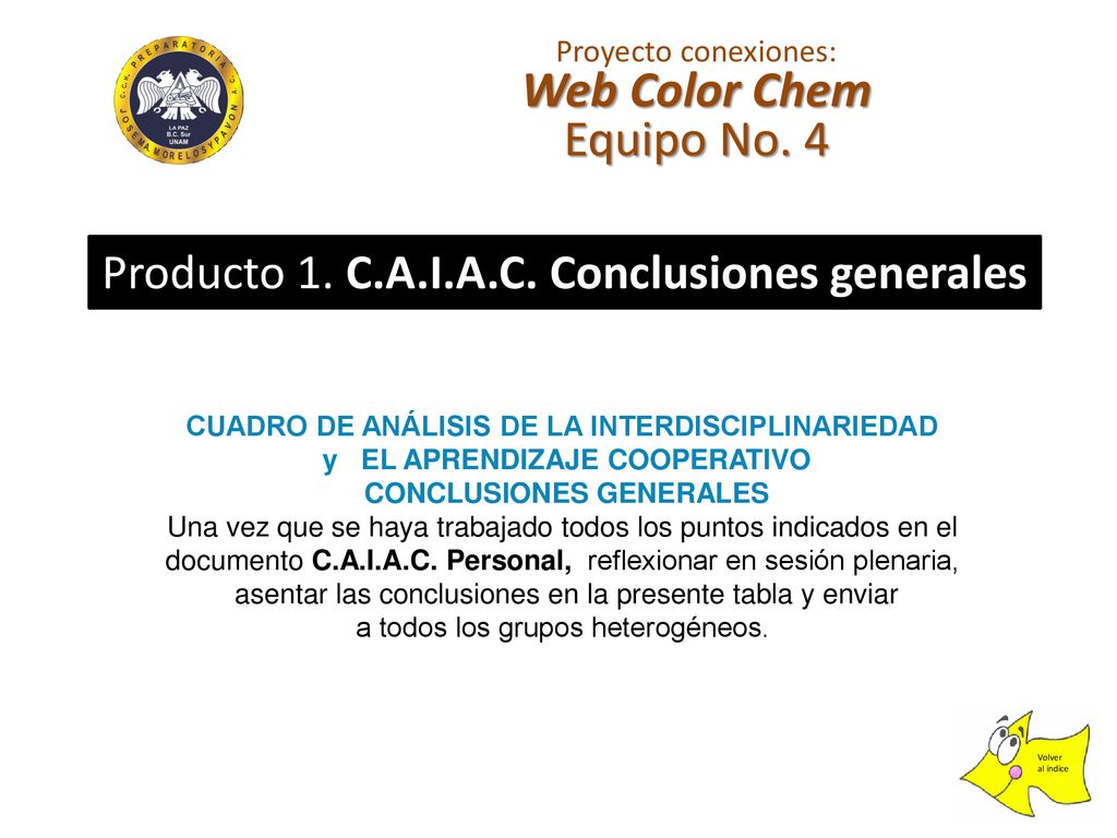 Web Color Chem Equipo No. 4