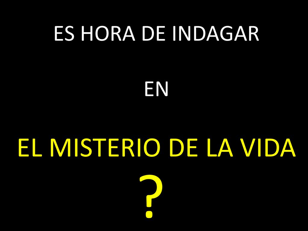 ES HORA DE INDAGAR EN EL MISTERIO DE LA VIDA