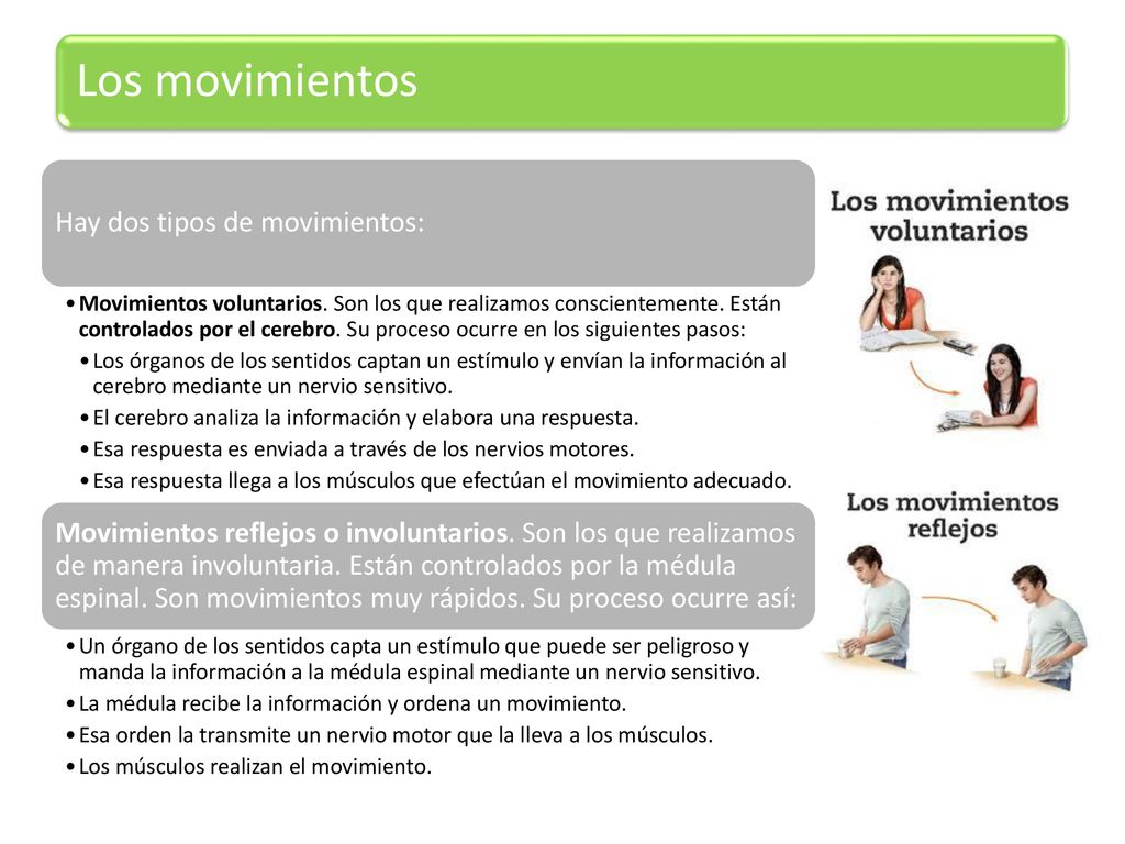 Los movimientos Hay dos tipos de movimientos: