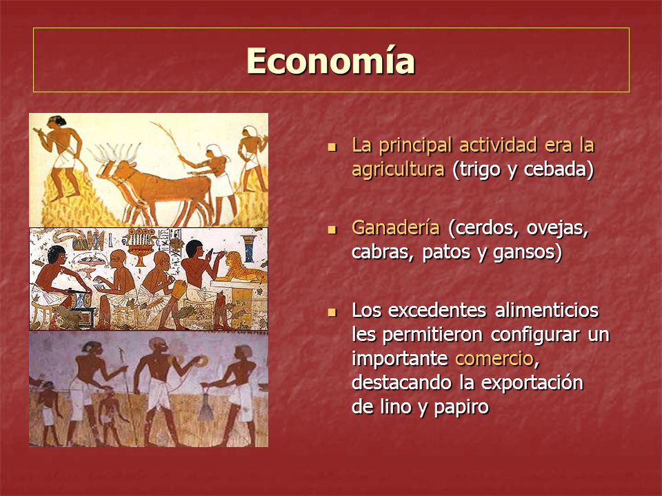 Economía La principal actividad era la agricultura (trigo y cebada)