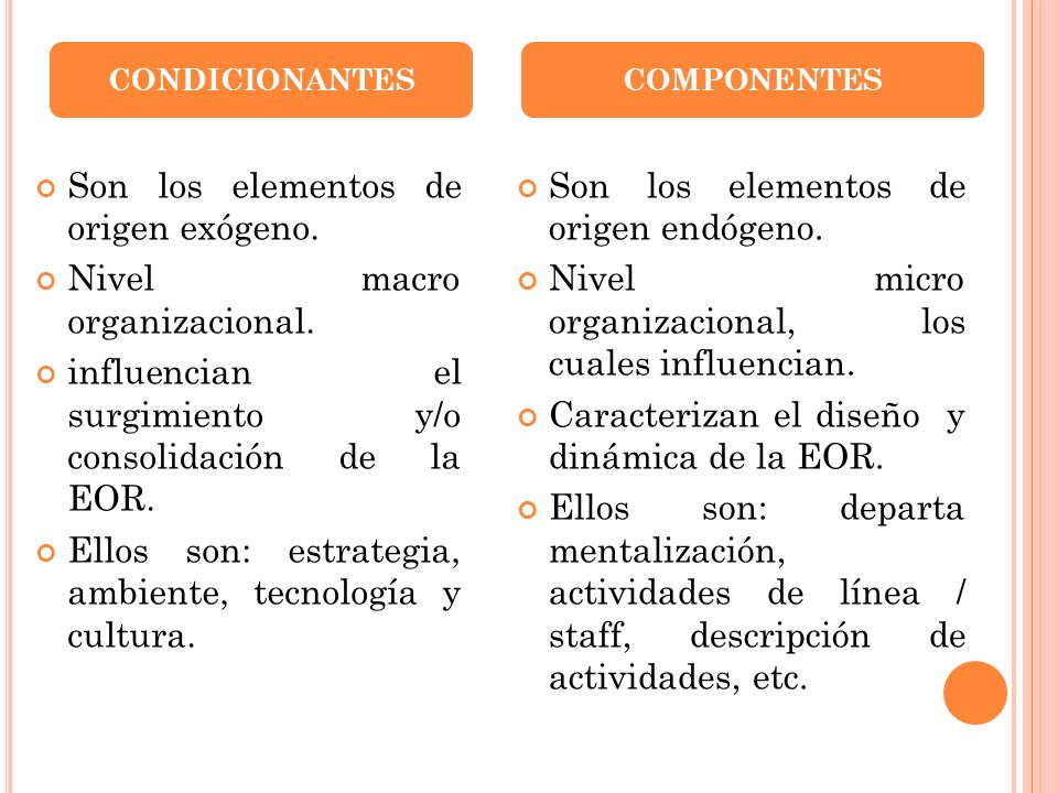Son los elementos de origen exógeno. Nivel macro organizacional.