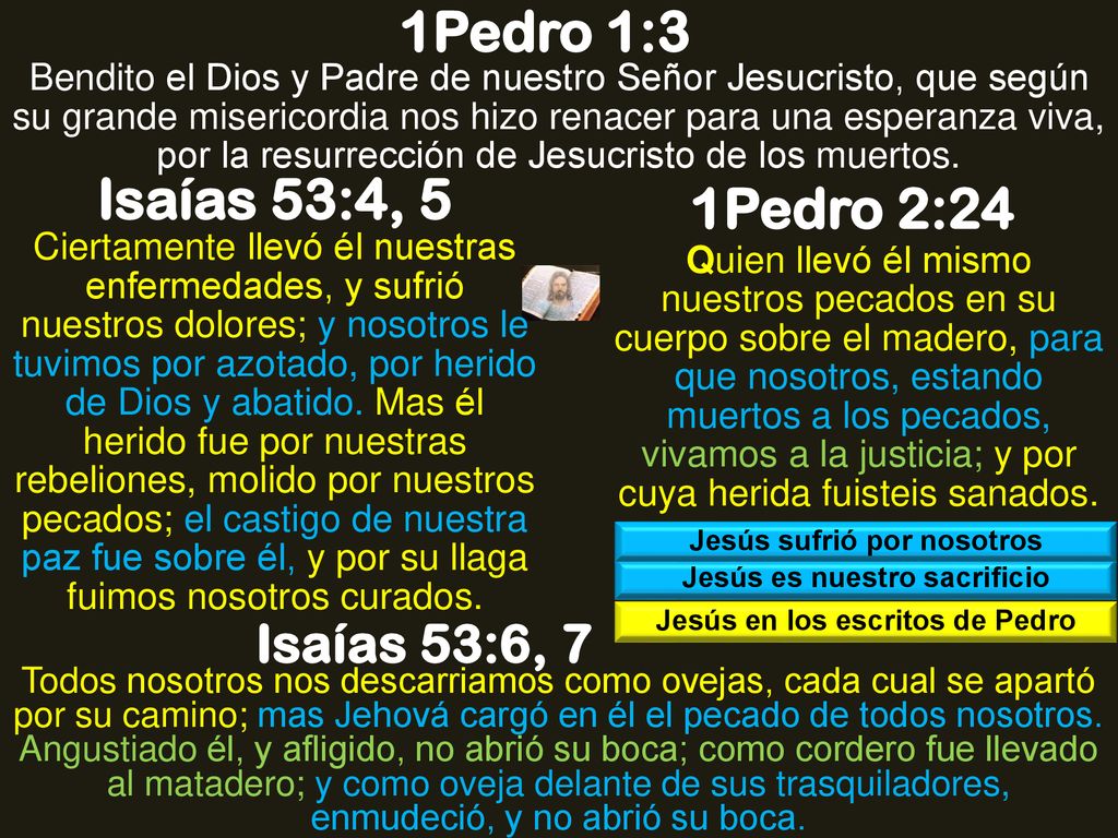 1Pedro 1:3 Isaías 53:4, 5 1Pedro 2:24 Isaías 53:6, 7