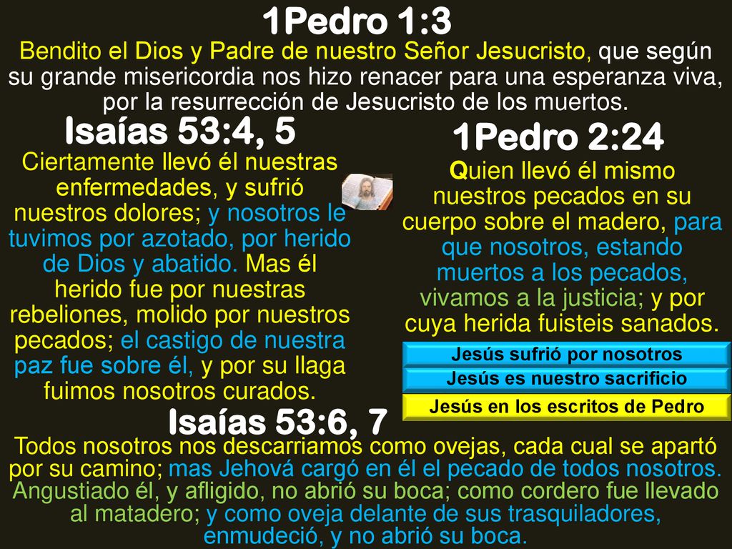 1Pedro 1:3 Isaías 53:4, 5 1Pedro 2:24 Isaías 53:6, 7