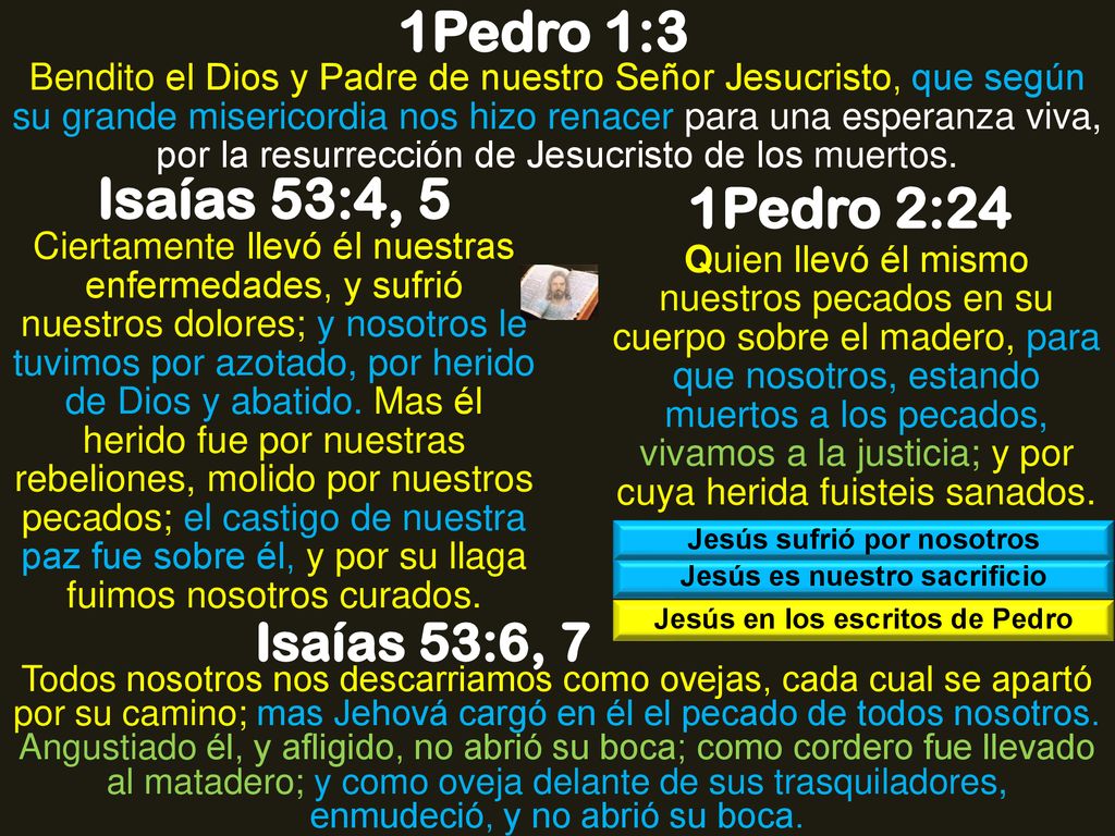 1Pedro 1:3 Isaías 53:4, 5 1Pedro 2:24 Isaías 53:6, 7