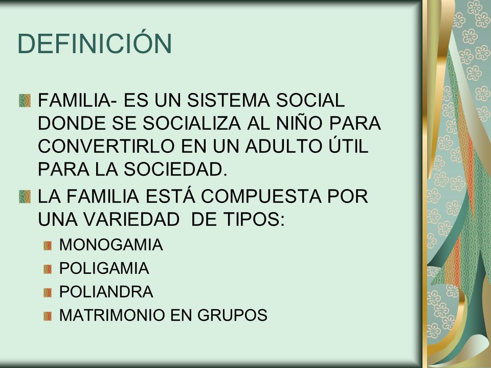 DEFINICIÓN FAMILIA- ES UN SISTEMA SOCIAL DONDE SE SOCIALIZA AL NIÑO PARA CONVERTIRLO EN UN ADULTO ÚTIL PARA LA SOCIEDAD.