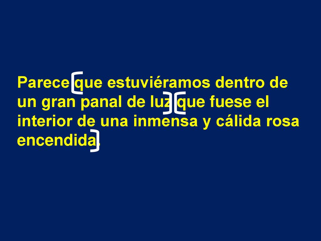 Parece que estuviéramos dentro de un gran panal de luz que fuese el interior de una inmensa y cálida rosa encendida.