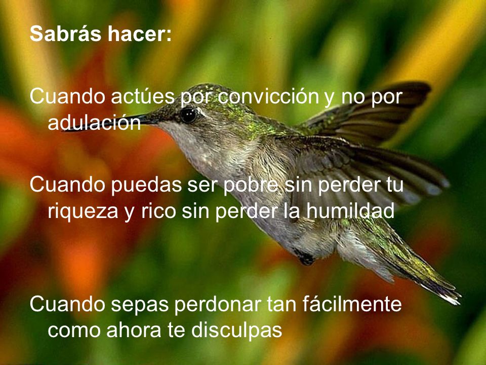 Sabrás hacer: Cuando actúes por convicción y no por adulación. Cuando puedas ser pobre sin perder tu riqueza y rico sin perder la humildad.