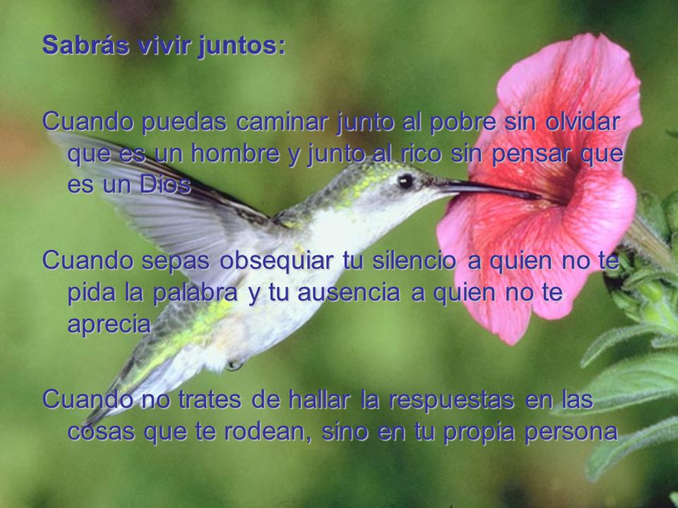 Sabrás vivir juntos: Cuando puedas caminar junto al pobre sin olvidar que es un hombre y junto al rico sin pensar que es un Dios.