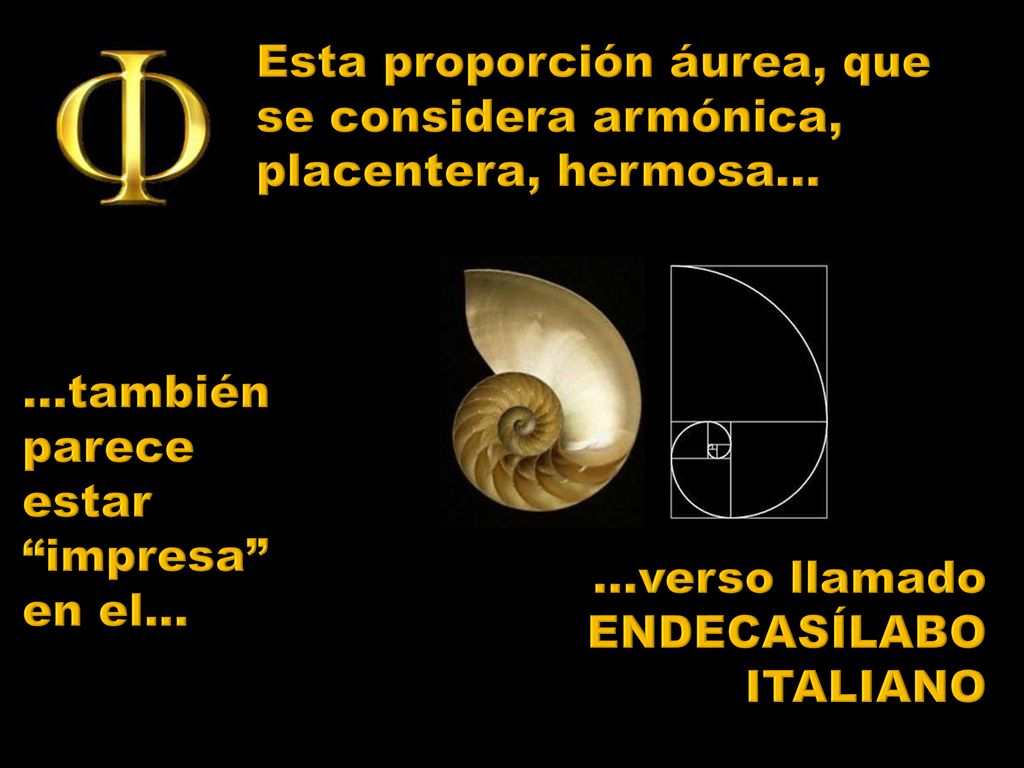 Esta proporción áurea, que se considera armónica, placentera, hermosa...