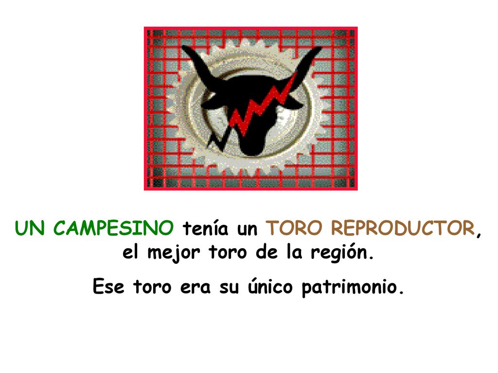 UN CAMPESINO tenía un TORO REPRODUCTOR, el mejor toro de la región.
