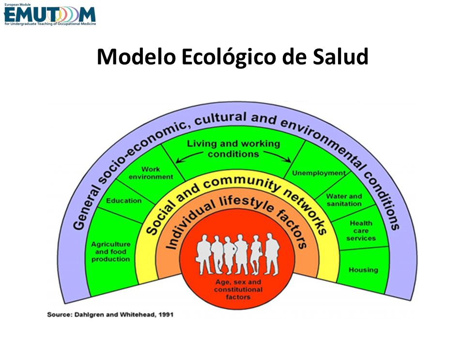 Promoción de la Salud en el Lugar de Trabajo - ppt video online descargar