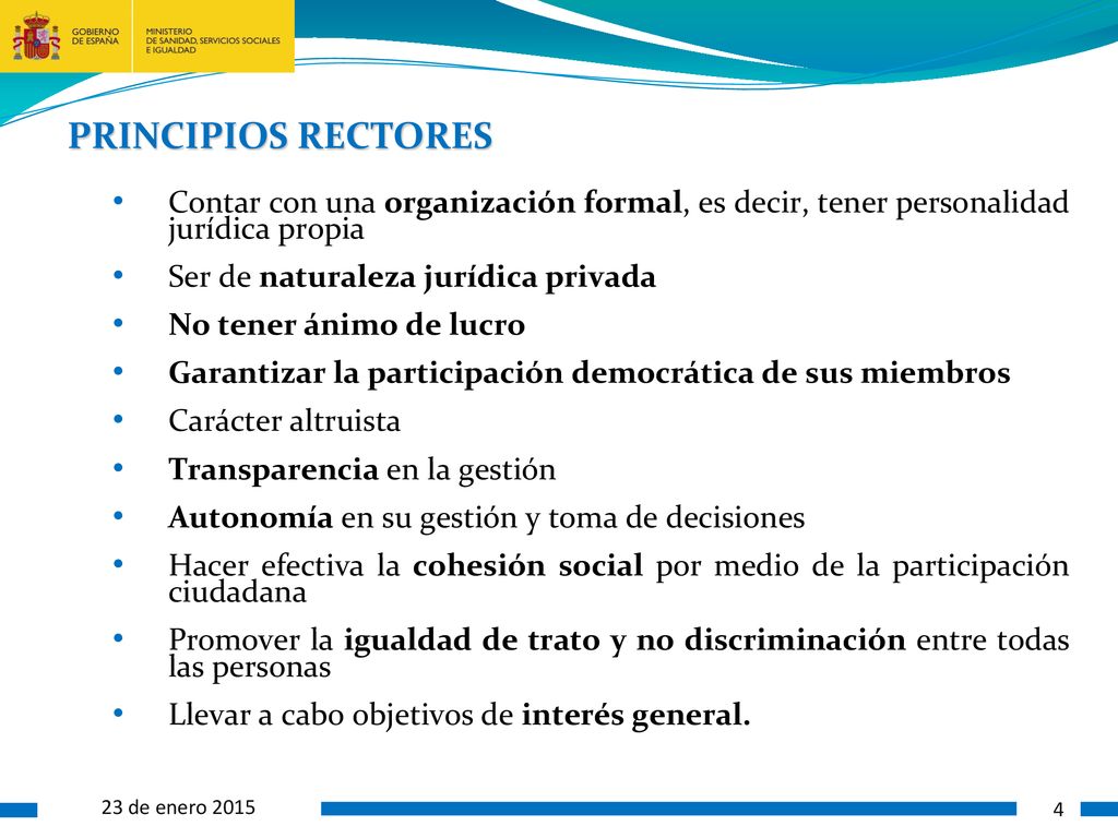 PRINCIPIOS RECTORES Contar con una organización formal, es decir, tener personalidad jurídica propia.