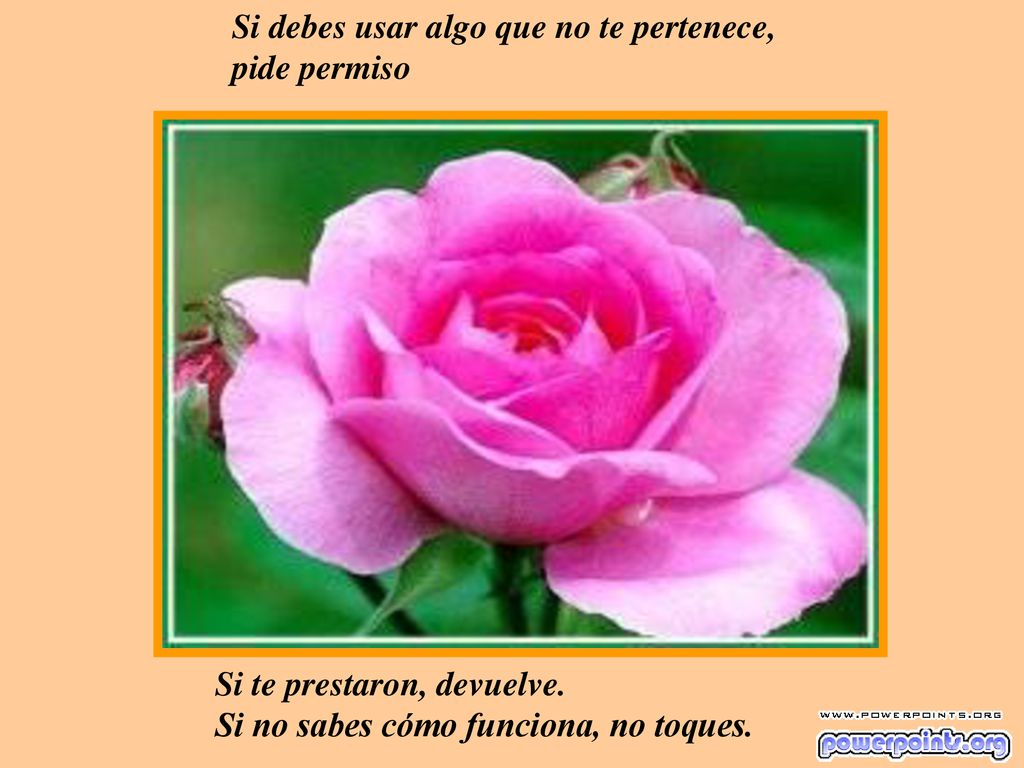 Si debes usar algo que no te pertenece, pide permiso
