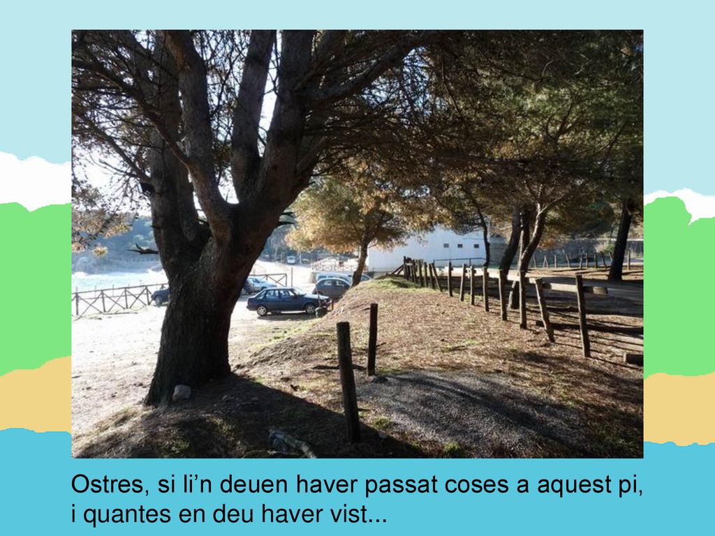 Ostres, si li’n deuen haver passat coses a aquest pi,