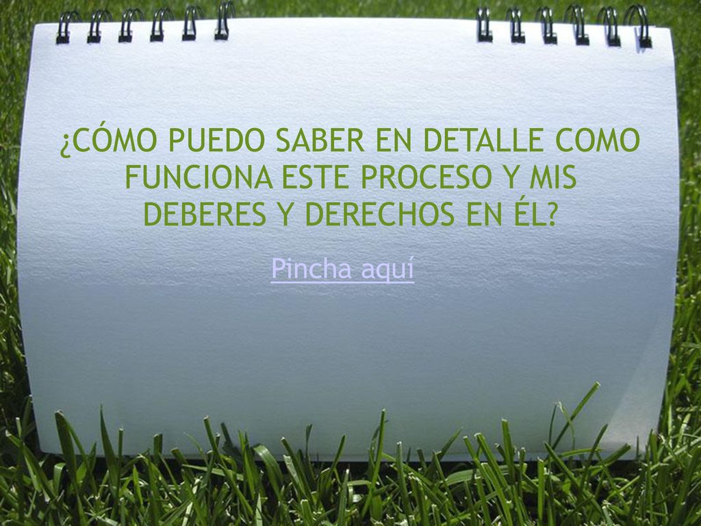 ¿CÓMO PUEDO SABER EN DETALLE COMO FUNCIONA ESTE PROCESO Y MIS DEBERES Y DERECHOS EN ÉL