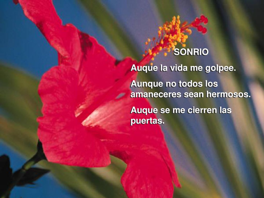 SONRIO Auque la vida me golpee. Aunque no todos los amaneceres sean hermosos.