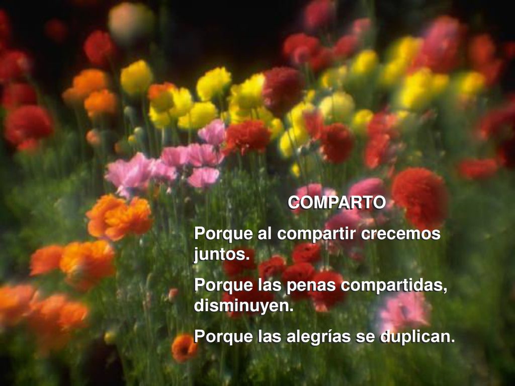 COMPARTO Porque al compartir crecemos juntos. Porque las penas compartidas, disminuyen.