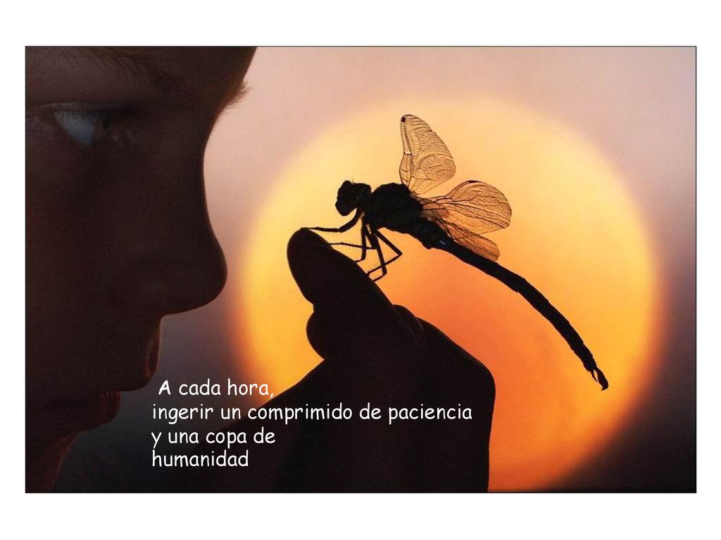 A cada hora, ingerir un comprimido de paciencia y una copa de humanidad