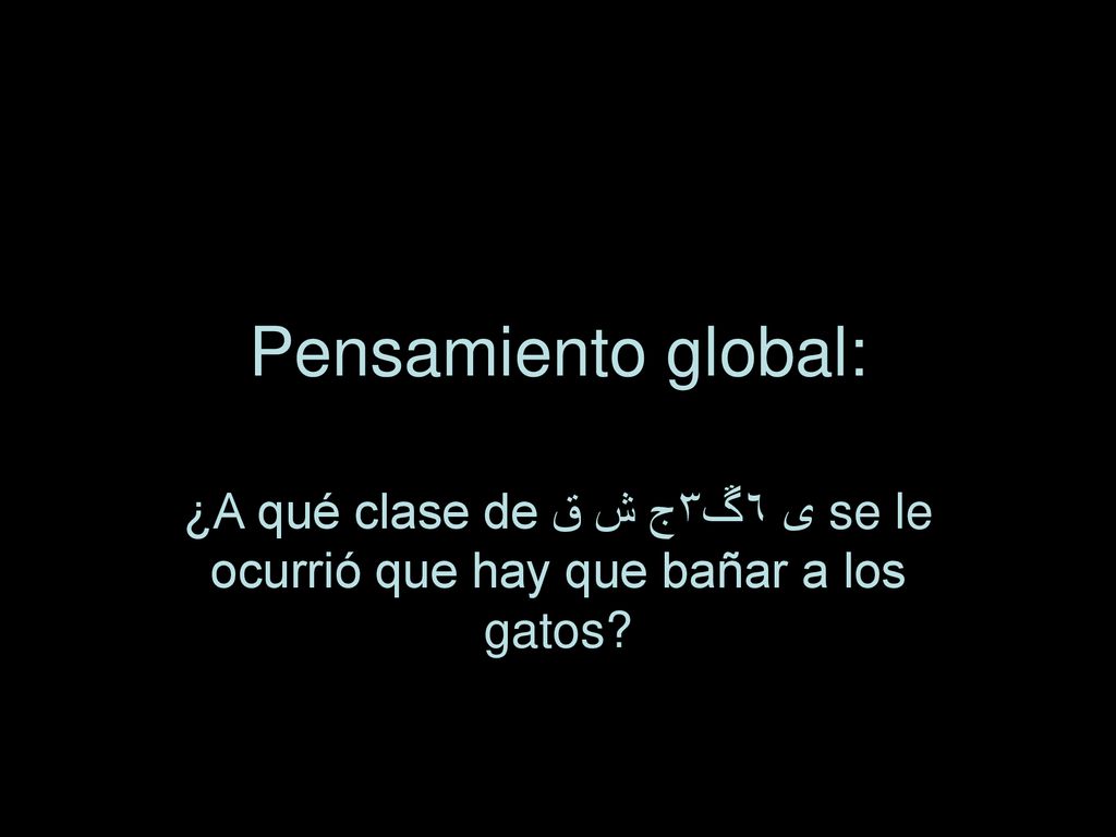 Pensamiento global: ¿A qué clase de ق ش ٦ڱ۳ج ى se le ocurrió que hay que bañar a los gatos
