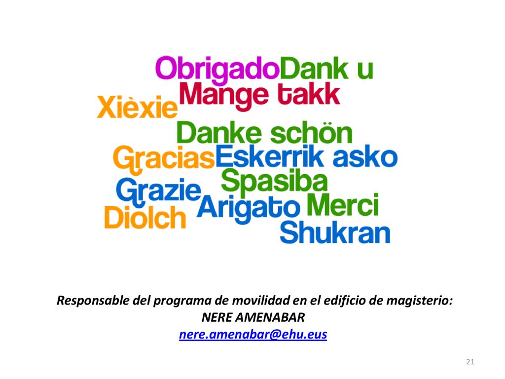 Responsable del programa de movilidad en el edificio de magisterio: NERE AMENABAR