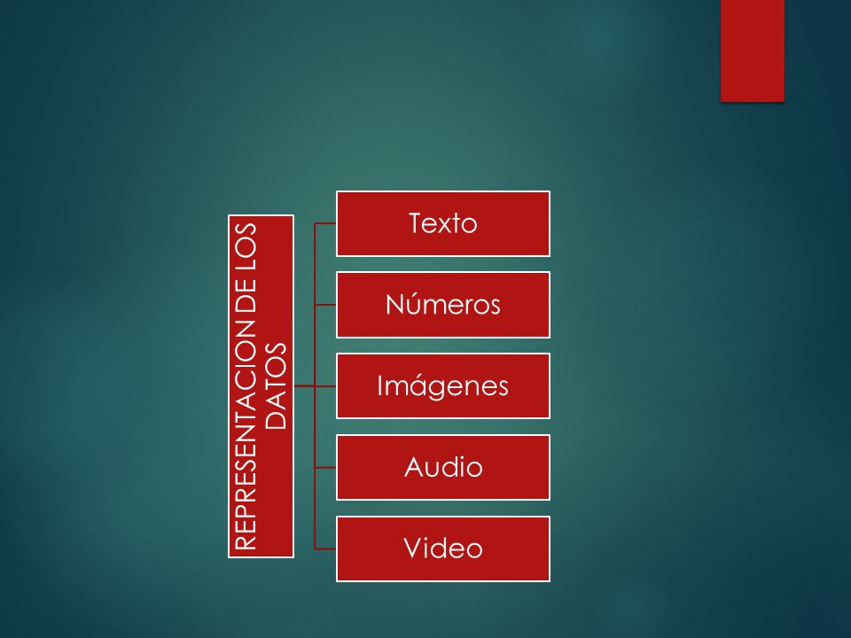 REPRESENTACION DE LOS DATOS
