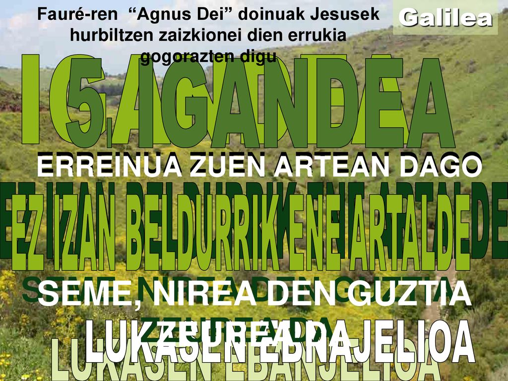 SEME, NIREA DEN GUZTIA ZEUREA DA SEME, NIREA DEN GUZTIA ZEUREA DA