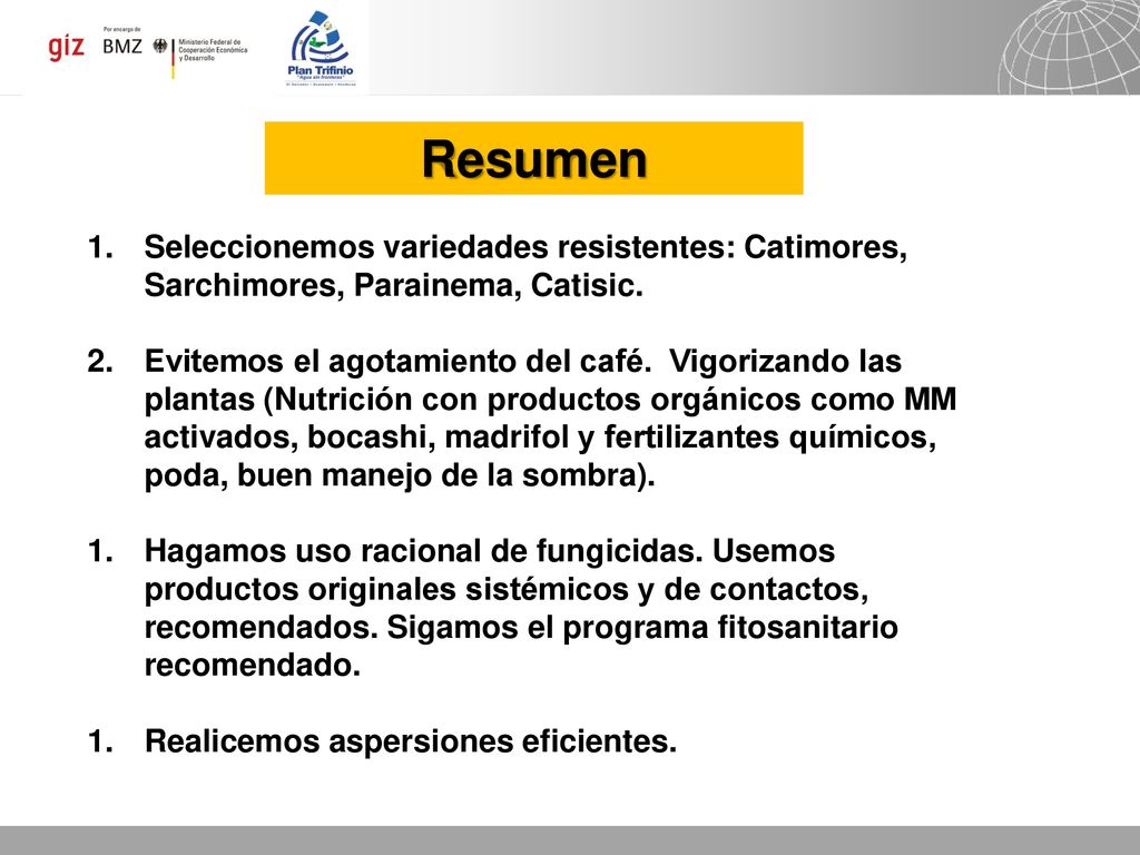 Resumen Seleccionemos variedades resistentes: Catimores, Sarchimores, Parainema, Catisic.