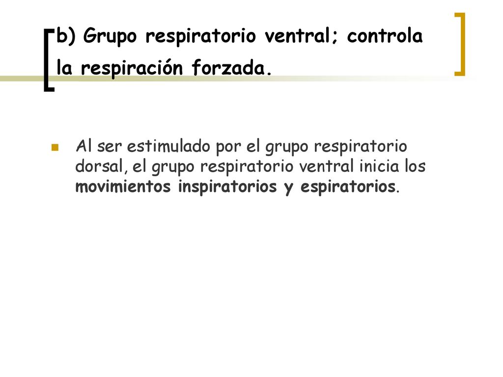 b) Grupo respiratorio ventral; controla la respiración forzada.