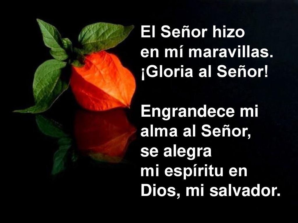 El Señor hizo en mí maravillas. ¡Gloria al Señor! Engrandece mi. alma al Señor, se alegra. mi espíritu en.