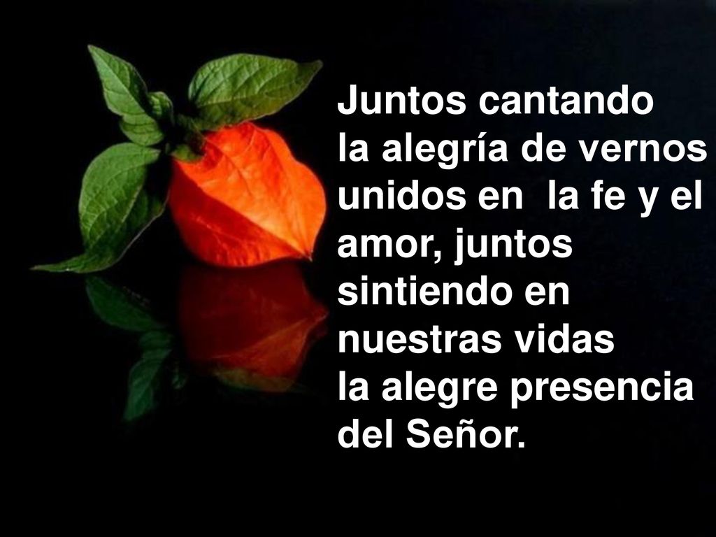 Juntos cantando la alegría de vernos unidos en la fe y el amor, juntos sintiendo en nuestras vidas.