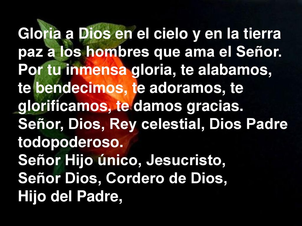 Gloria a Dios en el cielo y en la tierra